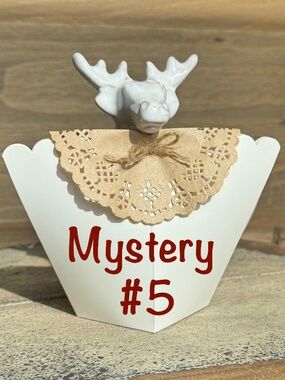 Mystery Jewelry Box #5 - Price Firm